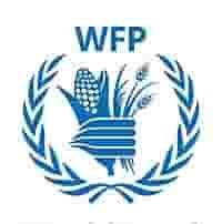 Posted: 2 days ago. . Car driver vacancy wfp ethiopia